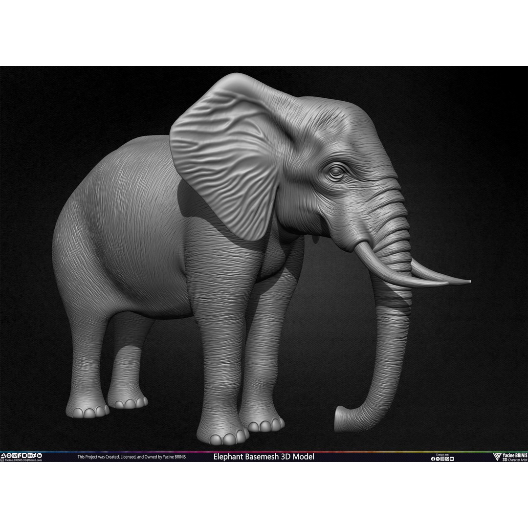 Elephant Basemesh 3D Model – Low Poly Game Asset, PBR Textures, FBX - View 7