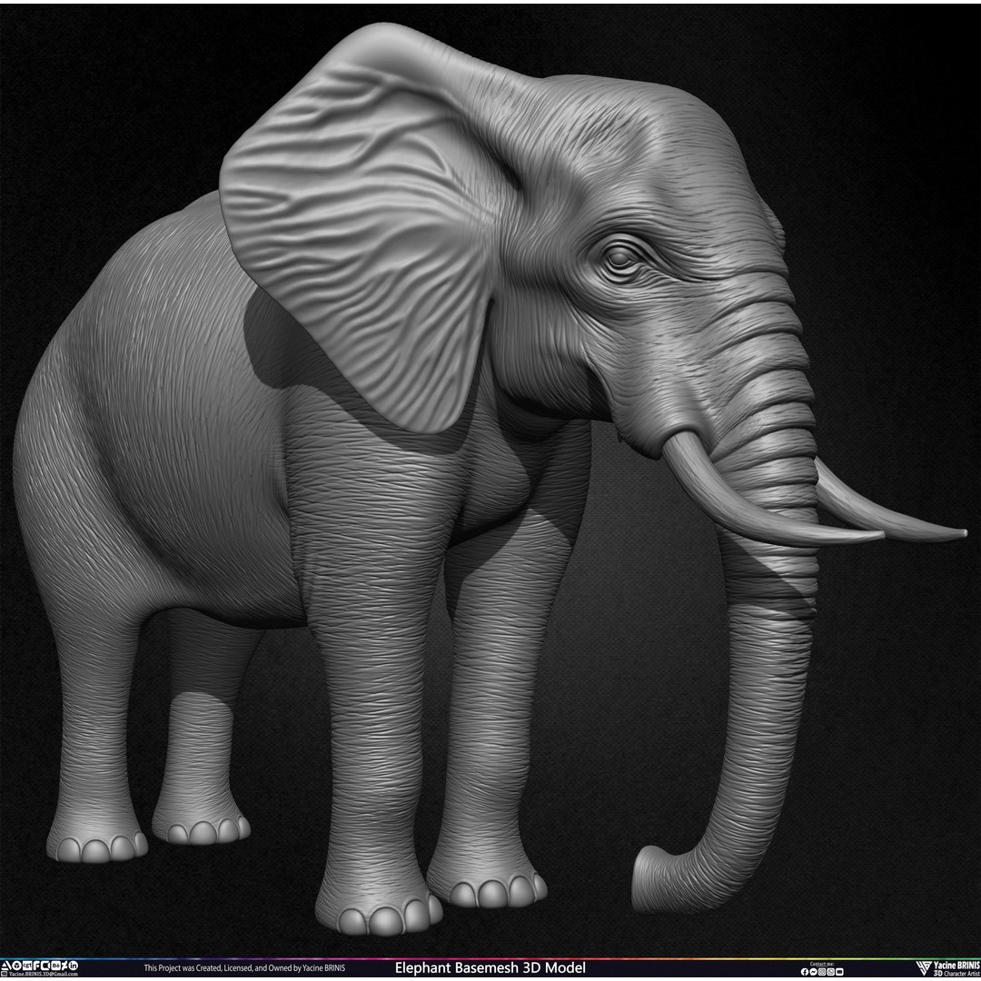 Elephant Basemesh 3D Model – Low Poly Game Asset, PBR Textures, FBX - View 8