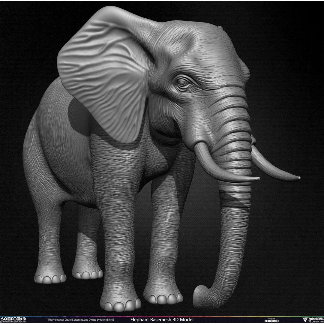 Elephant Basemesh 3D Model – Low Poly Game Asset, PBR Textures, FBX - View 9
