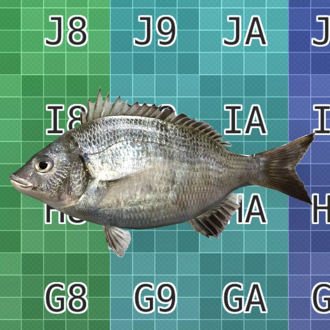 Black Sea Bream 3D Model – Low Poly Fish Asset, PBR Textures, FBX - View 5