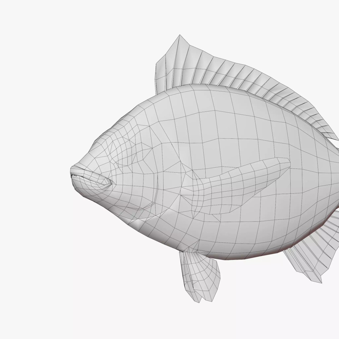 Black Sea Bream 3D Model – Low Poly Fish Asset, PBR Textures, FBX - View 7