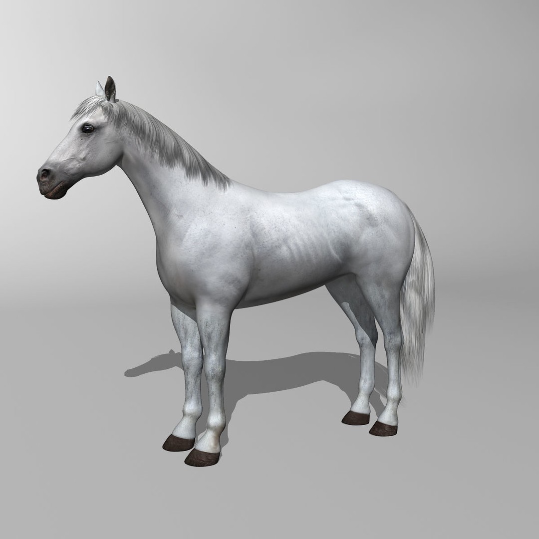 Realistic Horses 3D Model – Rigged Animated Bundle with PBR Textures - View 10