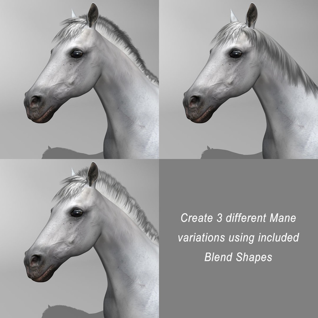 Realistic Horses 3D Model – Rigged Animated Bundle with PBR Textures - View 13