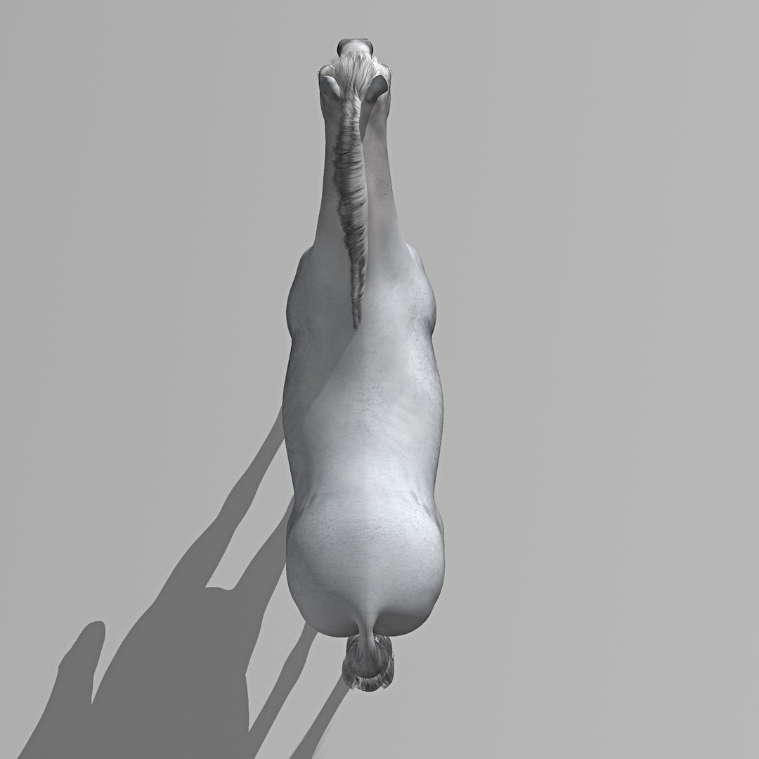 Realistic Horses 3D Model – Rigged Animated Bundle with PBR Textures - View 16