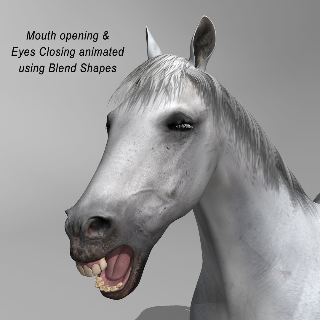 Realistic Horses 3D Model – Rigged Animated Bundle with PBR Textures - View 17