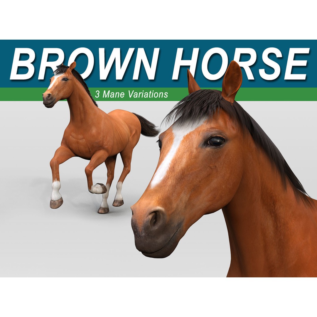 Realistic Horses 3D Model – Rigged Animated Bundle with PBR Textures - View 19