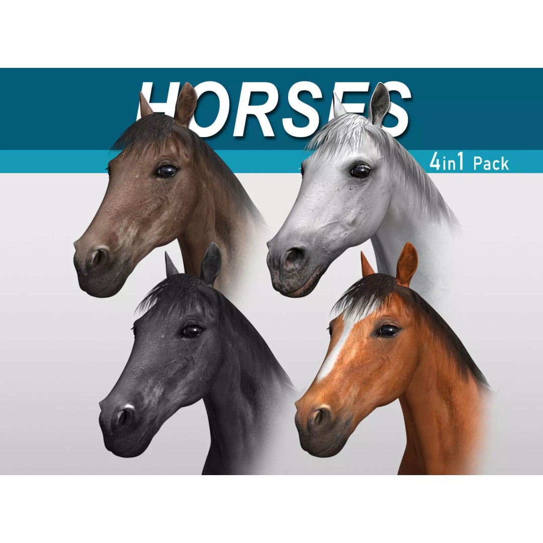 Realistic Horses 3D Model – Rigged Animated Bundle with PBR Textures - View 2