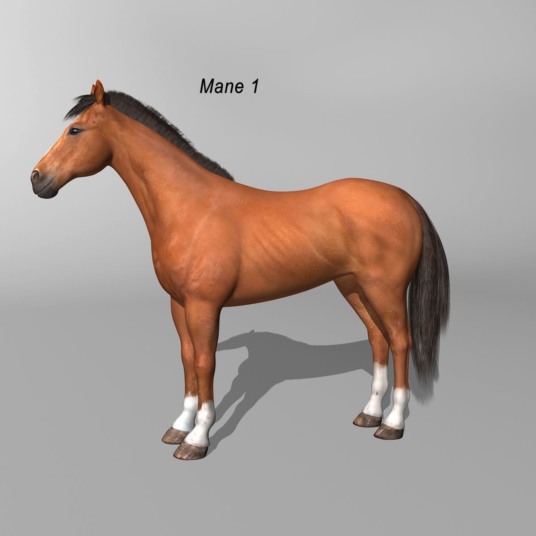 Realistic Horses 3D Model – Rigged Animated Bundle with PBR Textures - View 20
