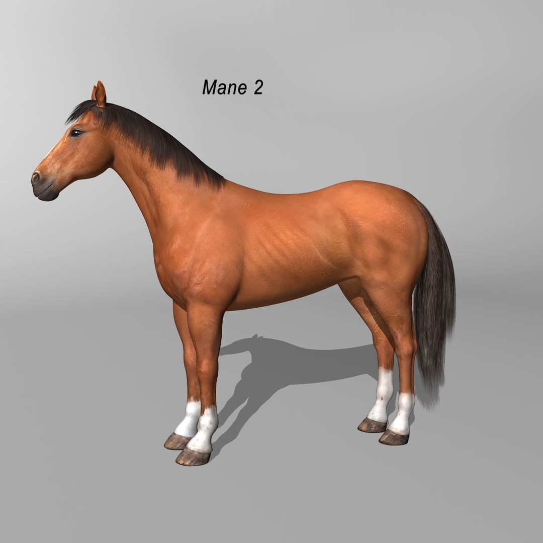 Realistic Horses 3D Model – Rigged Animated Bundle with PBR Textures - View 21
