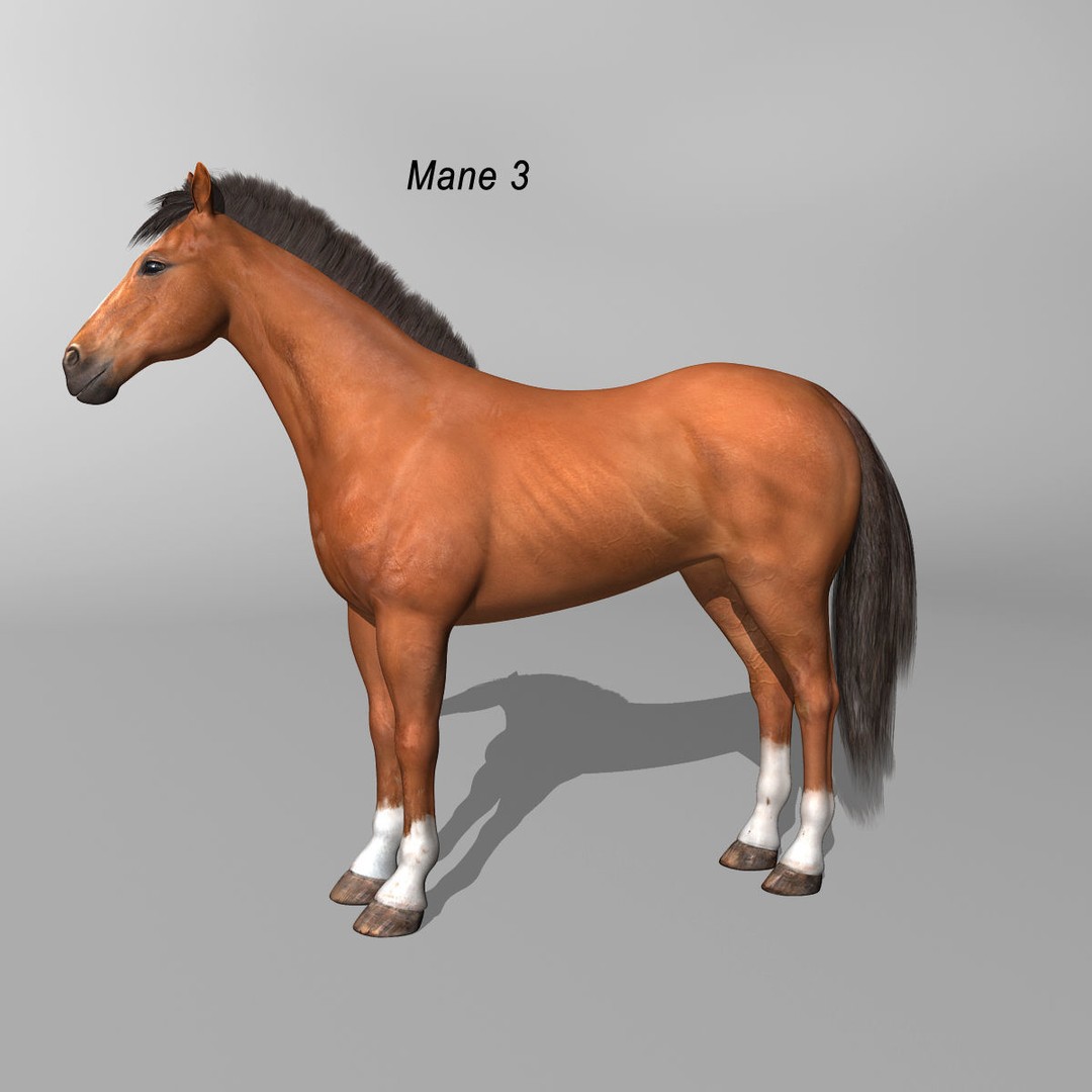 Realistic Horses 3D Model – Rigged Animated Bundle with PBR Textures - View 22