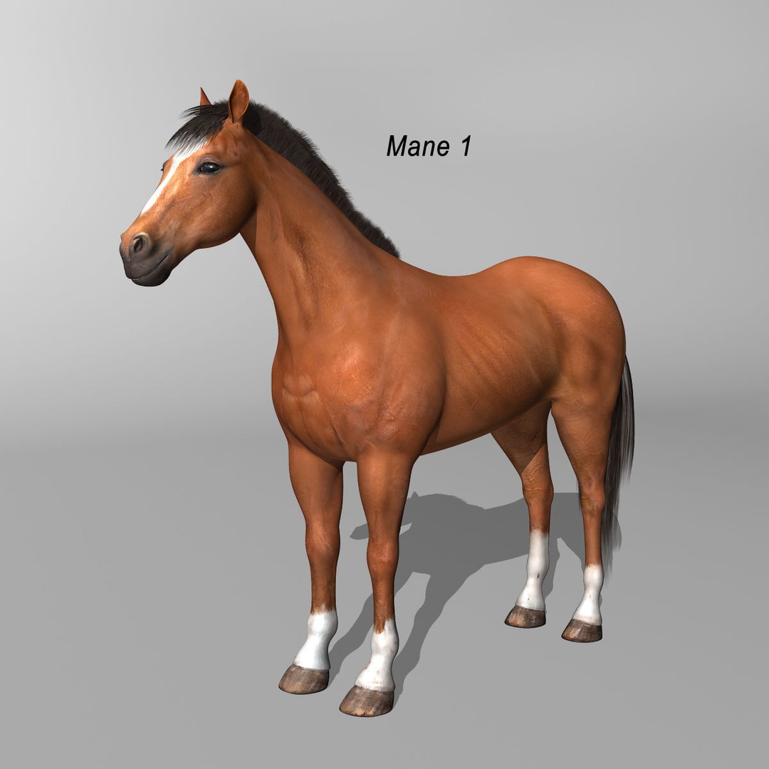 Realistic Horses 3D Model – Rigged Animated Bundle with PBR Textures - View 23