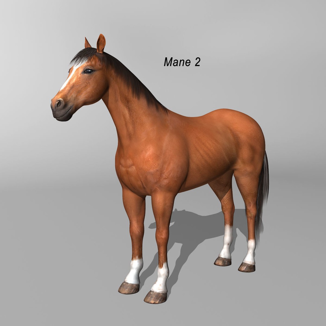 Realistic Horses 3D Model – Rigged Animated Bundle with PBR Textures - View 24
