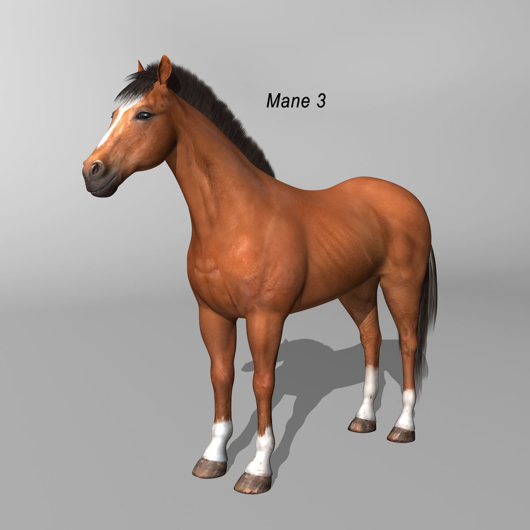 Realistic Horses 3D Model – Rigged Animated Bundle with PBR Textures - View 25