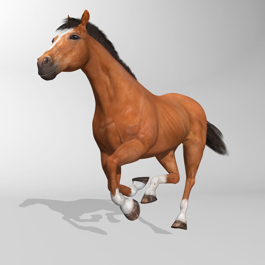 Realistic Horses 3D Model – Rigged Animated Bundle with PBR Textures - View 26