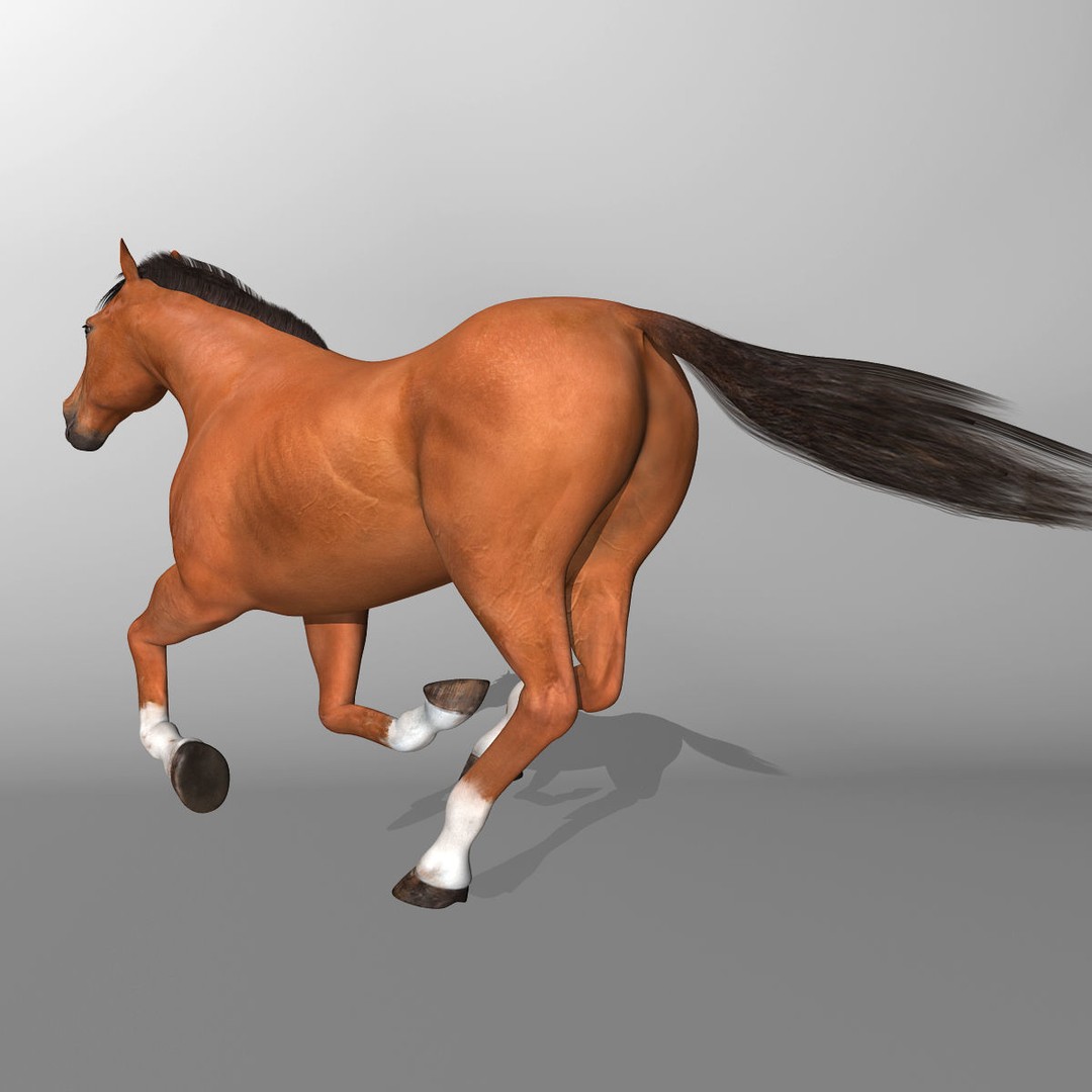 Realistic Horses 3D Model – Rigged Animated Bundle with PBR Textures - View 27