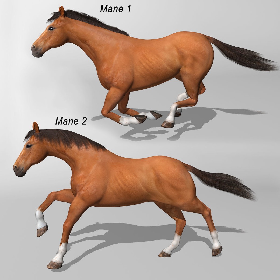 Realistic Horses 3D Model – Rigged Animated Bundle with PBR Textures - View 28