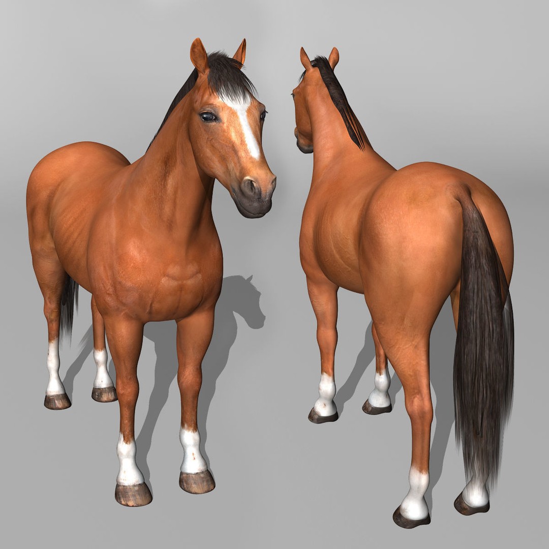Realistic Horses 3D Model – Rigged Animated Bundle with PBR Textures - View 29