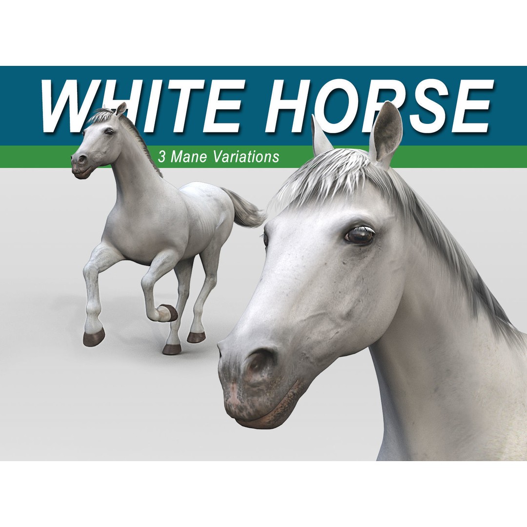 Realistic Horses 3D Model – Rigged Animated Bundle with PBR Textures - View 3