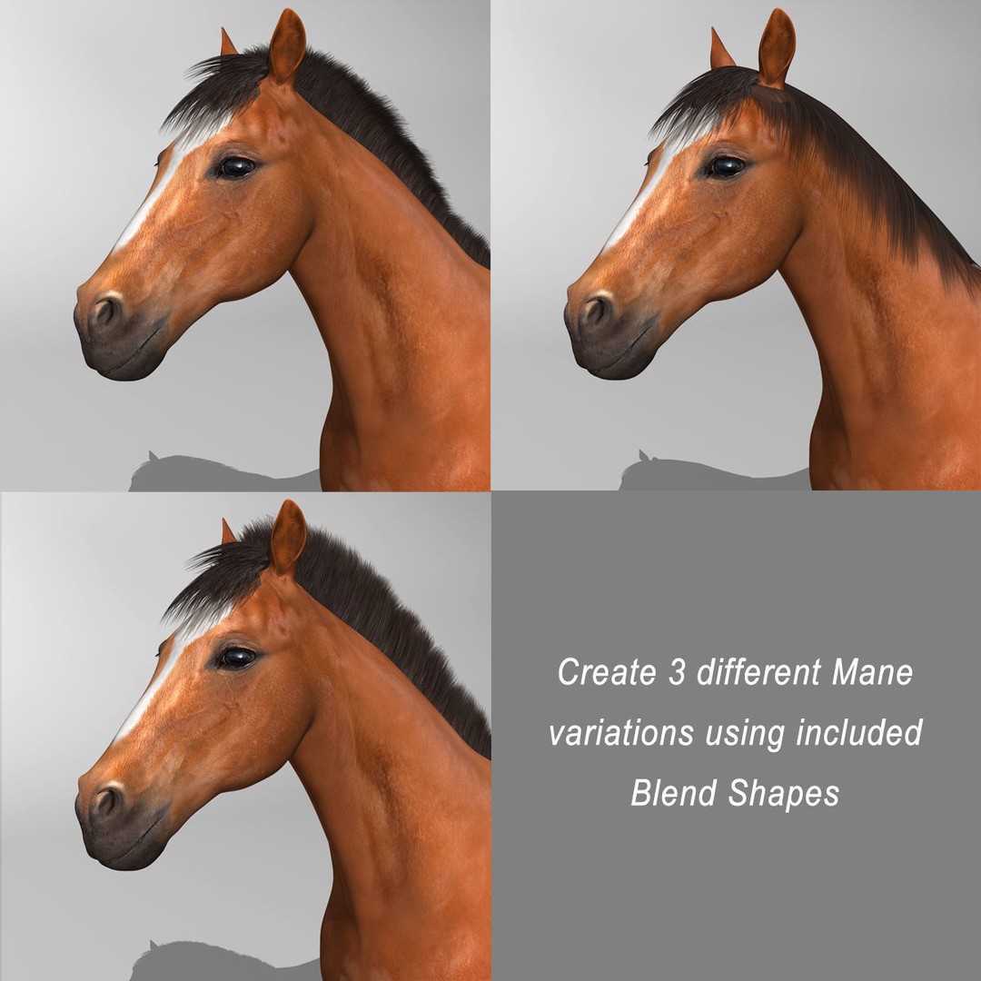 Realistic Horses 3D Model – Rigged Animated Bundle with PBR Textures - View 30