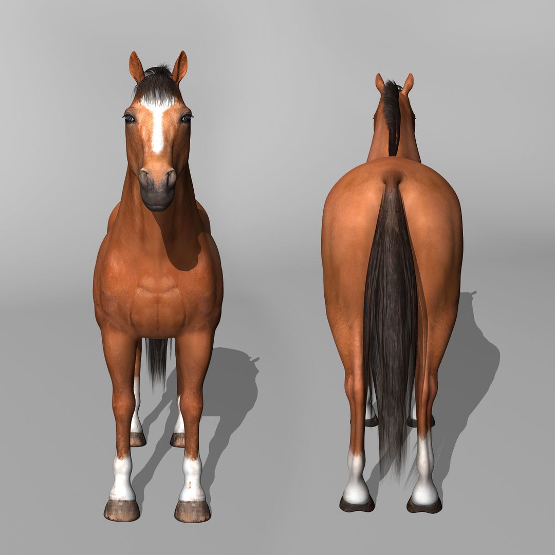 Realistic Horses 3D Model – Rigged Animated Bundle with PBR Textures - View 31