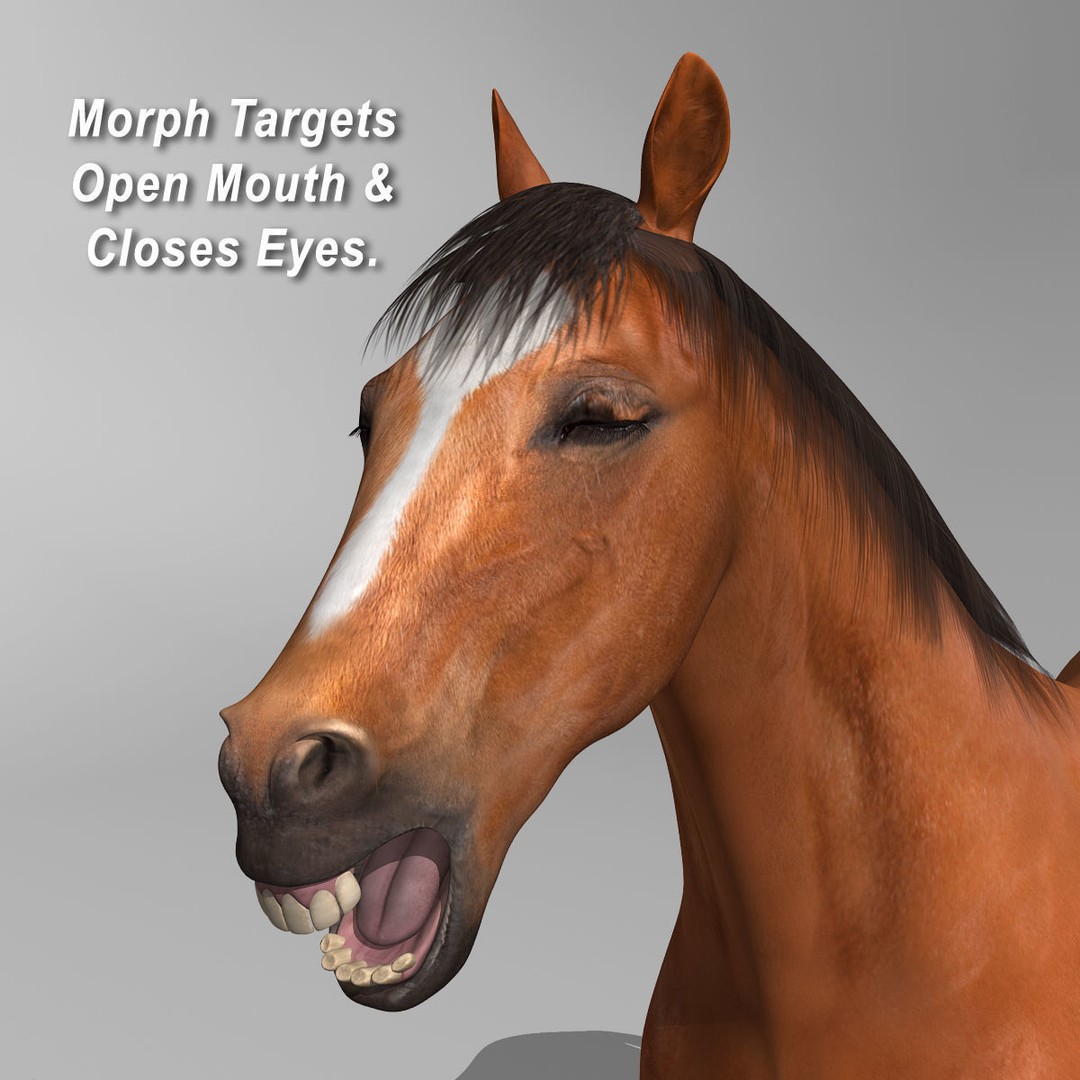 Realistic Horses 3D Model – Rigged Animated Bundle with PBR Textures - View 33