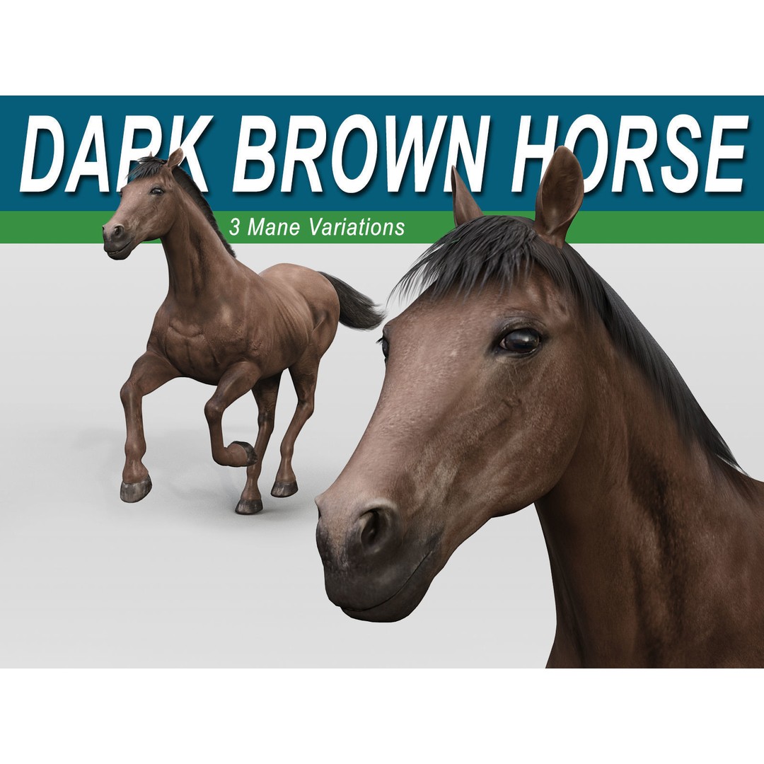 Realistic Horses 3D Model – Rigged Animated Bundle with PBR Textures - View 35