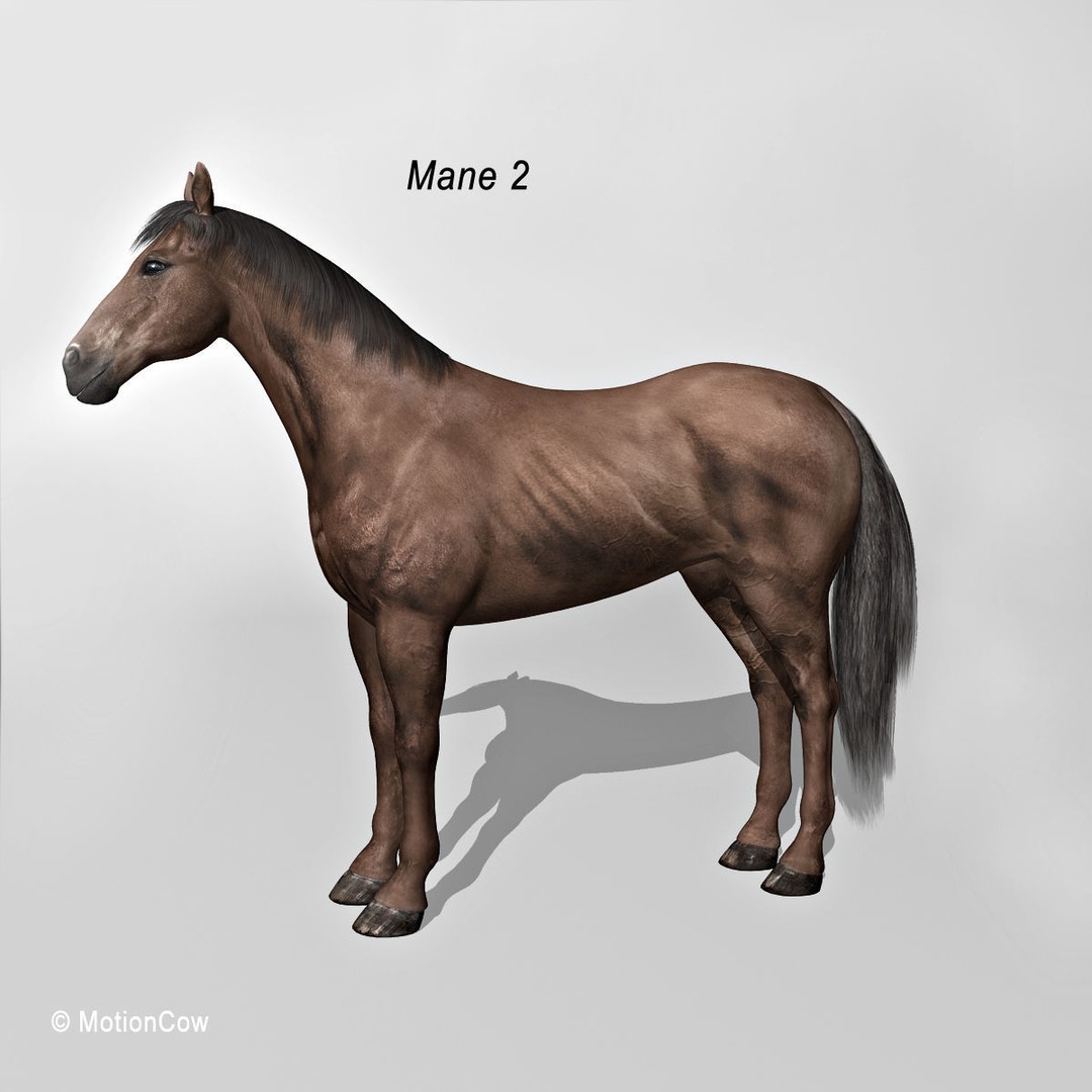 Realistic Horses 3D Model – Rigged Animated Bundle with PBR Textures - View 37