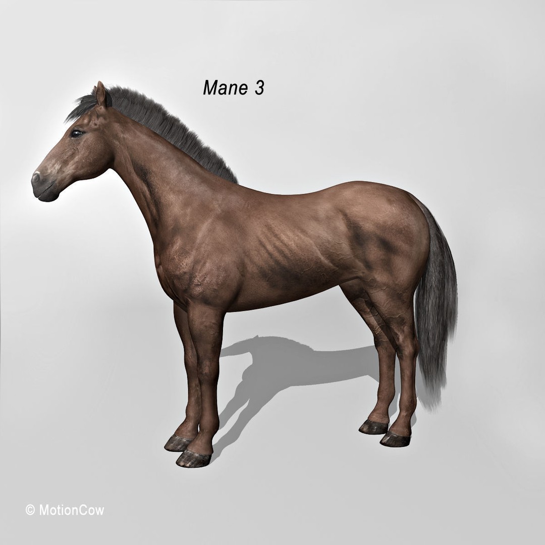 Realistic Horses 3D Model – Rigged Animated Bundle with PBR Textures - View 38