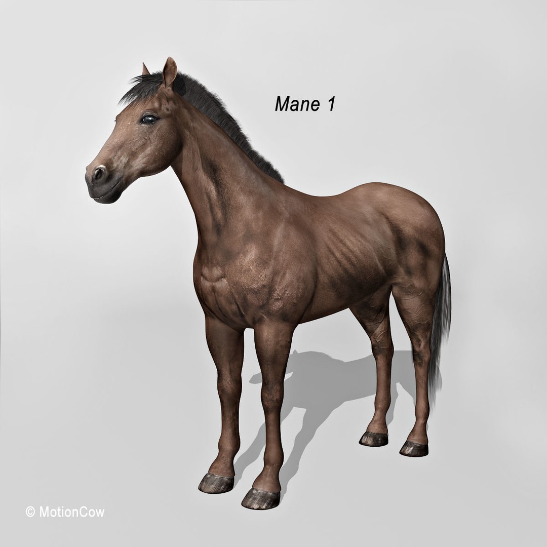 Realistic Horses 3D Model – Rigged Animated Bundle with PBR Textures - View 39