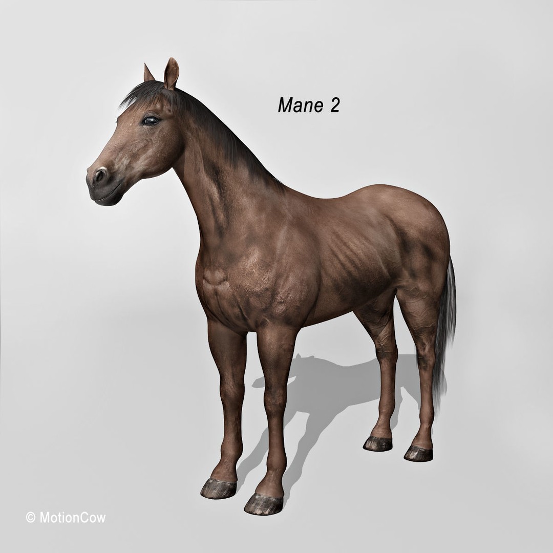 Realistic Horses 3D Model – Rigged Animated Bundle with PBR Textures - View 40