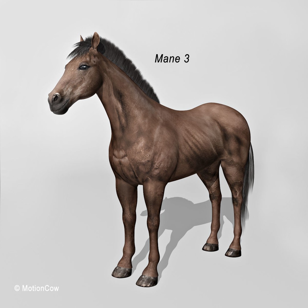 Realistic Horses 3D Model – Rigged Animated Bundle with PBR Textures - View 41