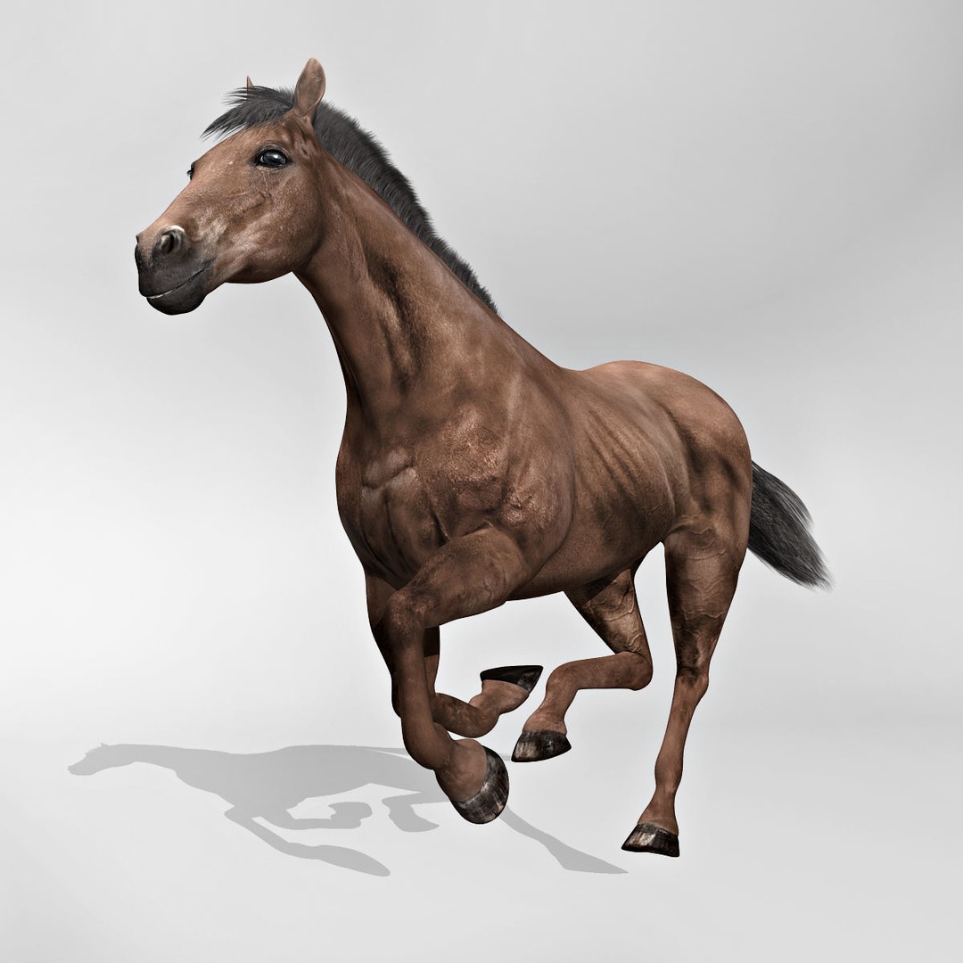Realistic Horses 3D Model – Rigged Animated Bundle with PBR Textures - View 42