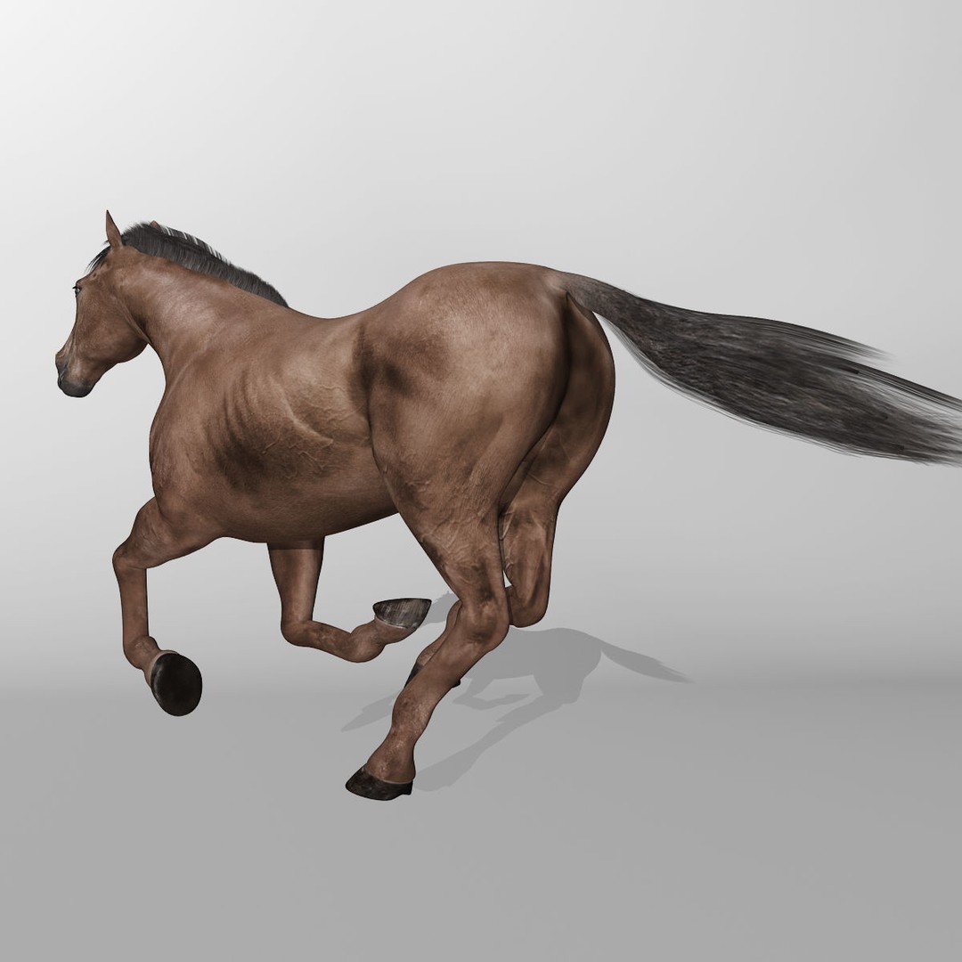 Realistic Horses 3D Model – Rigged Animated Bundle with PBR Textures - View 43