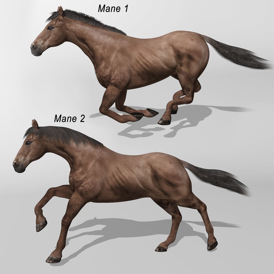 Realistic Horses 3D Model – Rigged Animated Bundle with PBR Textures - View 44