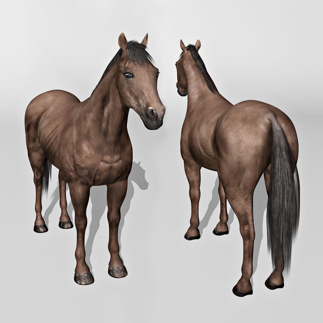 Realistic Horses 3D Model – Rigged Animated Bundle with PBR Textures - View 45