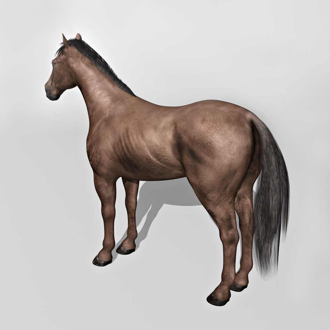 Realistic Horses 3D Model – Rigged Animated Bundle with PBR Textures - View 46