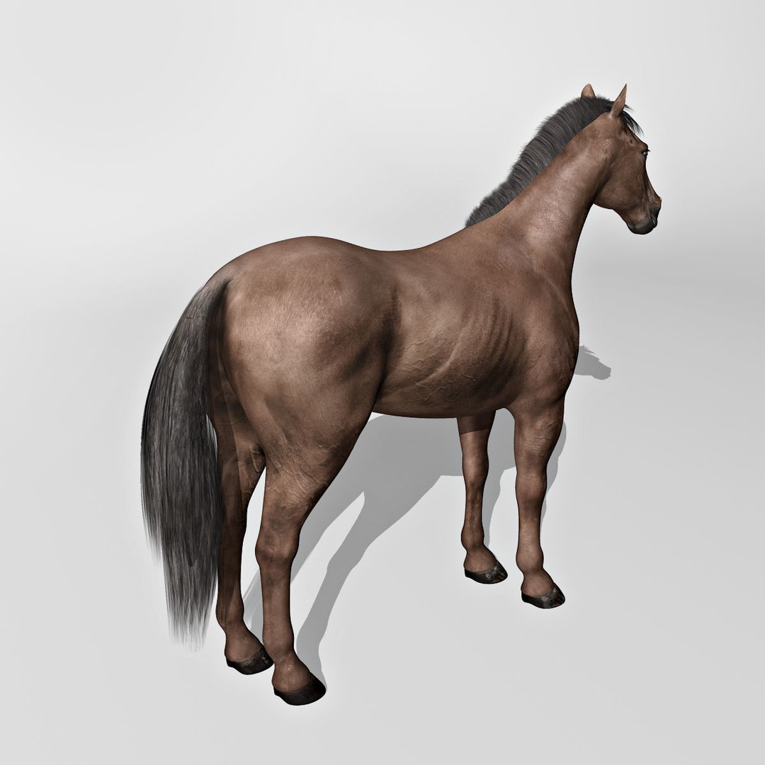 Realistic Horses 3D Model – Rigged Animated Bundle with PBR Textures - View 47