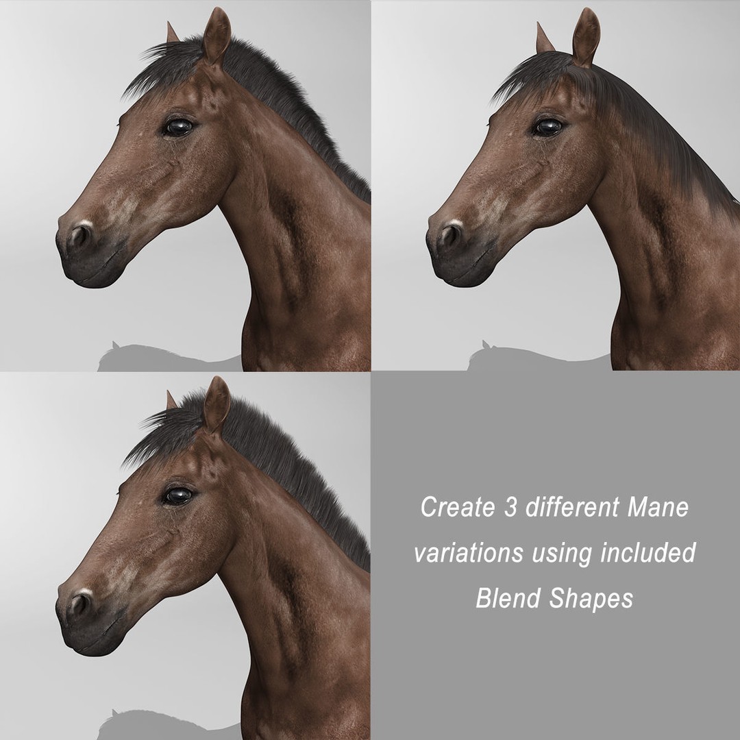 Realistic Horses 3D Model – Rigged Animated Bundle with PBR Textures - View 48