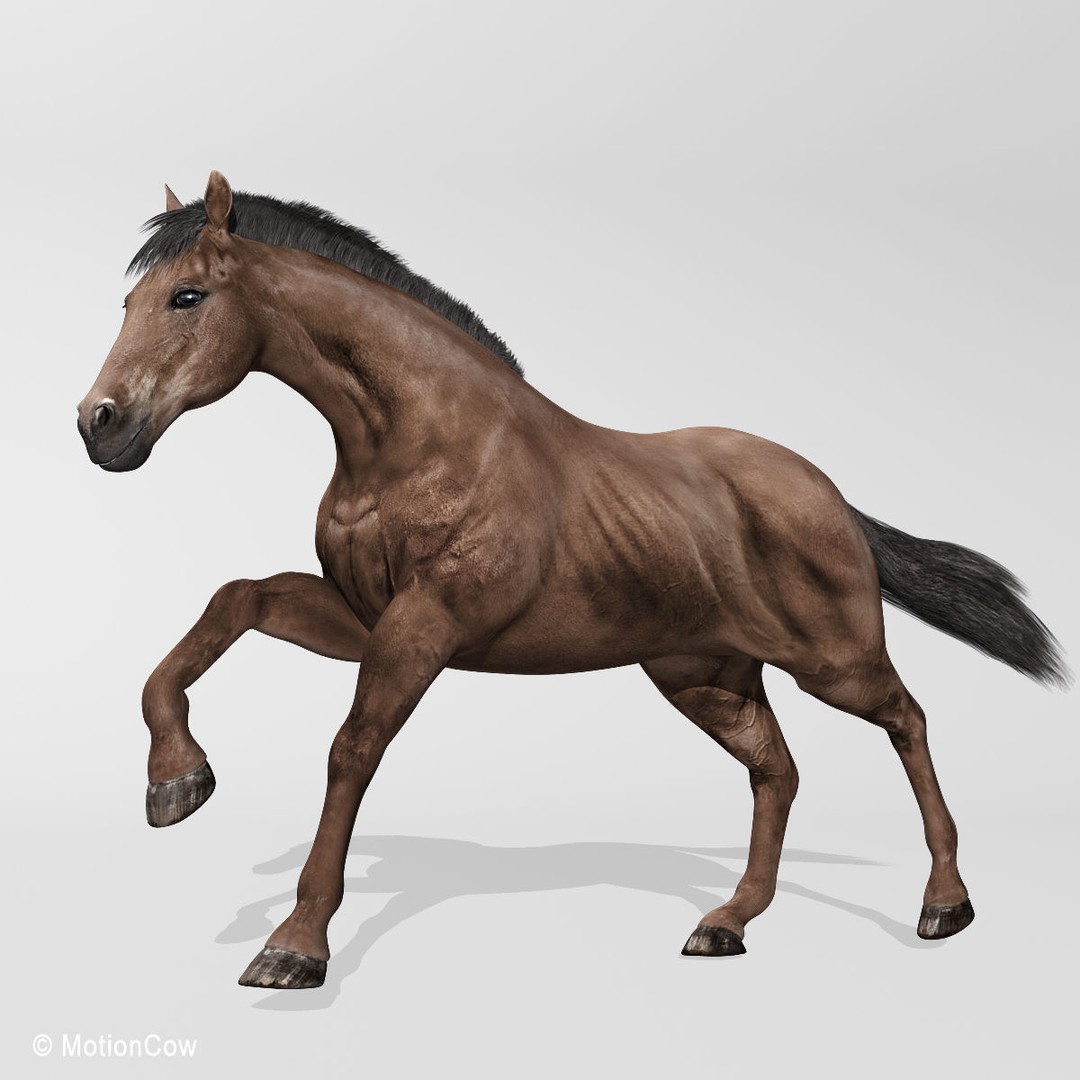 Realistic Horses 3D Model – Rigged Animated Bundle with PBR Textures - View 49