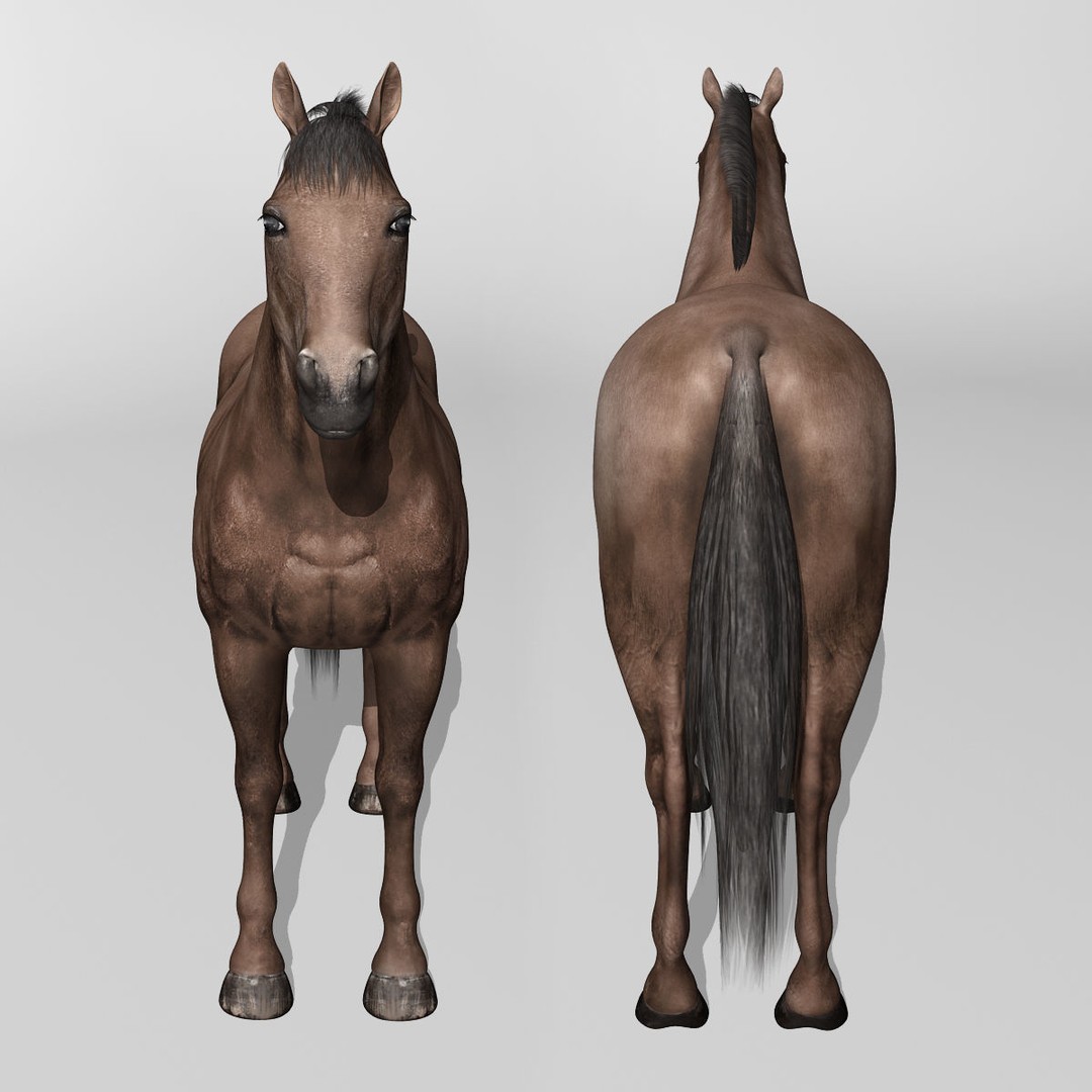 Realistic Horses 3D Model – Rigged Animated Bundle with PBR Textures - View 50