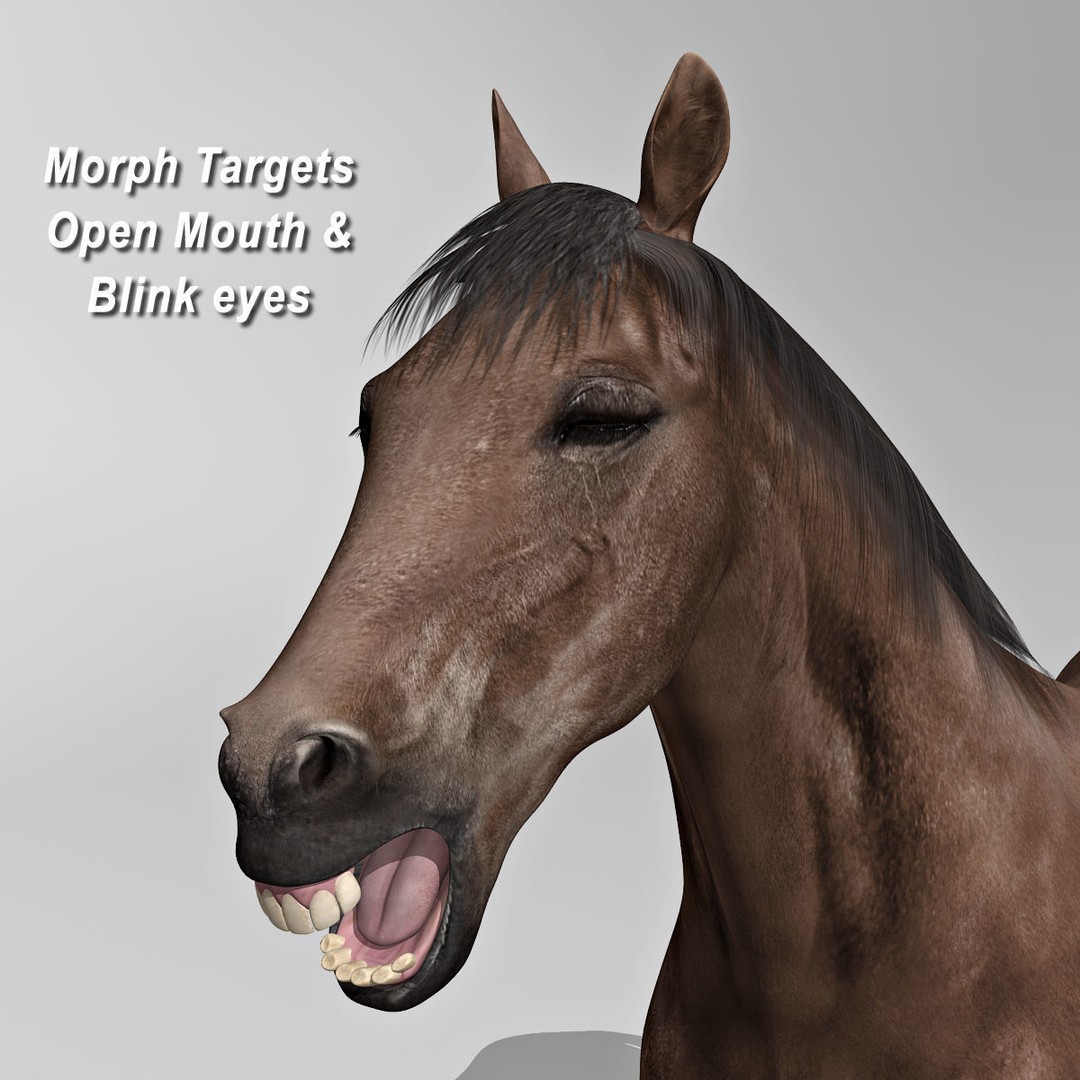 Realistic Horses 3D Model – Rigged Animated Bundle with PBR Textures - View 52