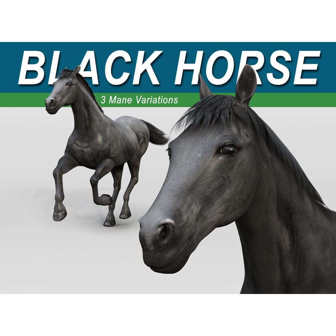 Realistic Horses 3D Model – Rigged Animated Bundle with PBR Textures - View 54
