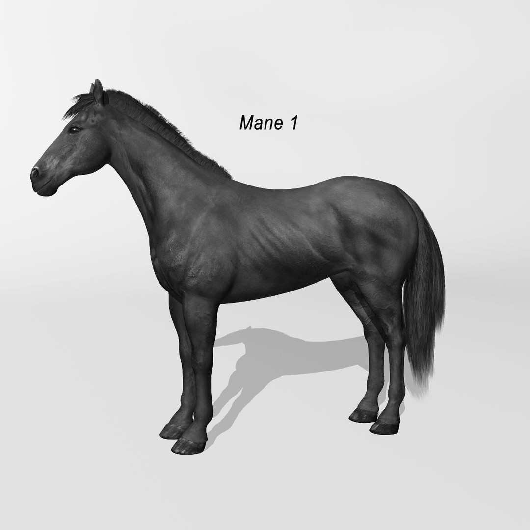 Realistic Horses 3D Model – Rigged Animated Bundle with PBR Textures - View 55