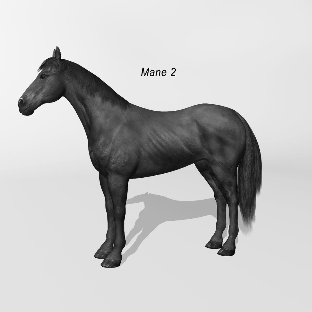Realistic Horses 3D Model – Rigged Animated Bundle with PBR Textures - View 56