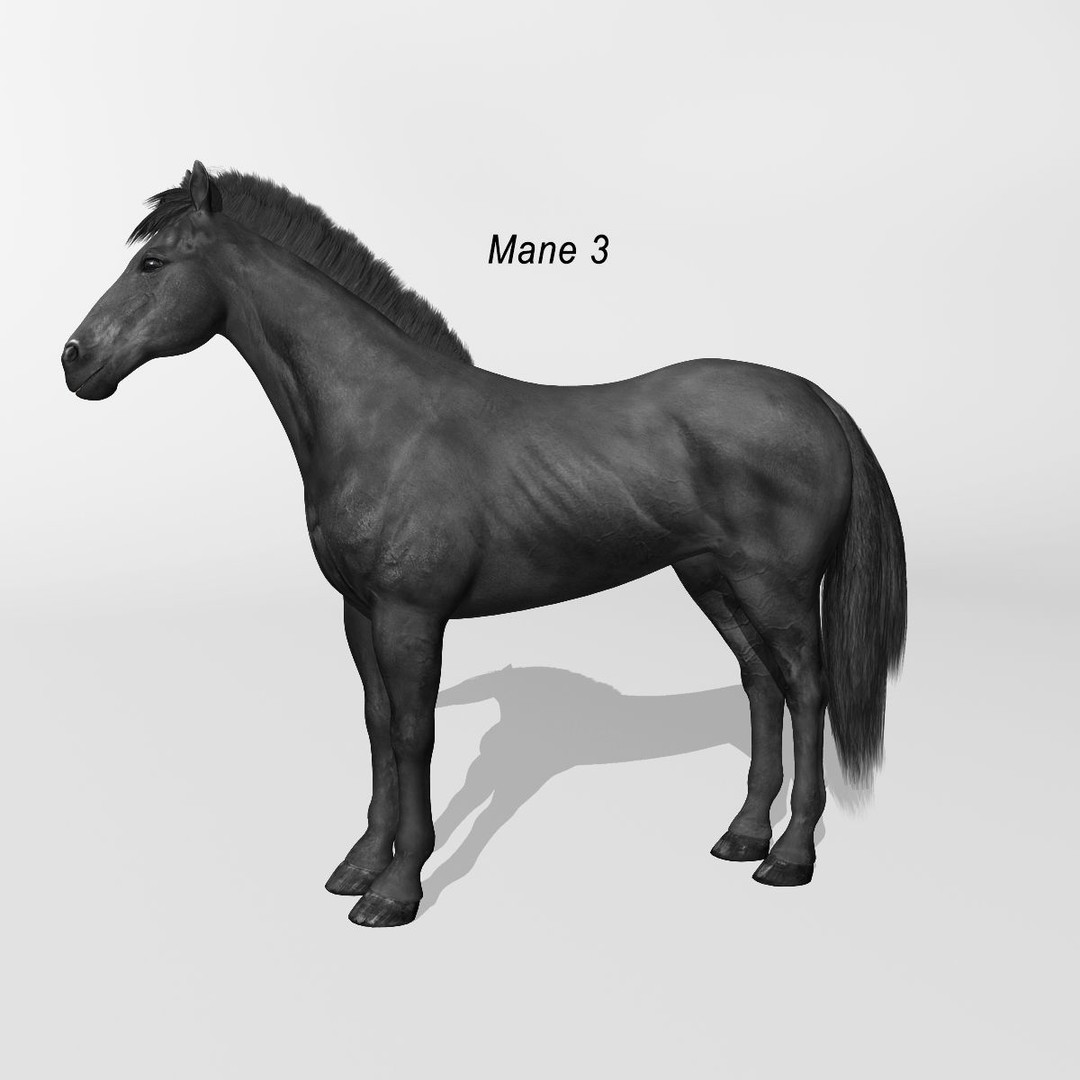 Realistic Horses 3D Model – Rigged Animated Bundle with PBR Textures - View 57