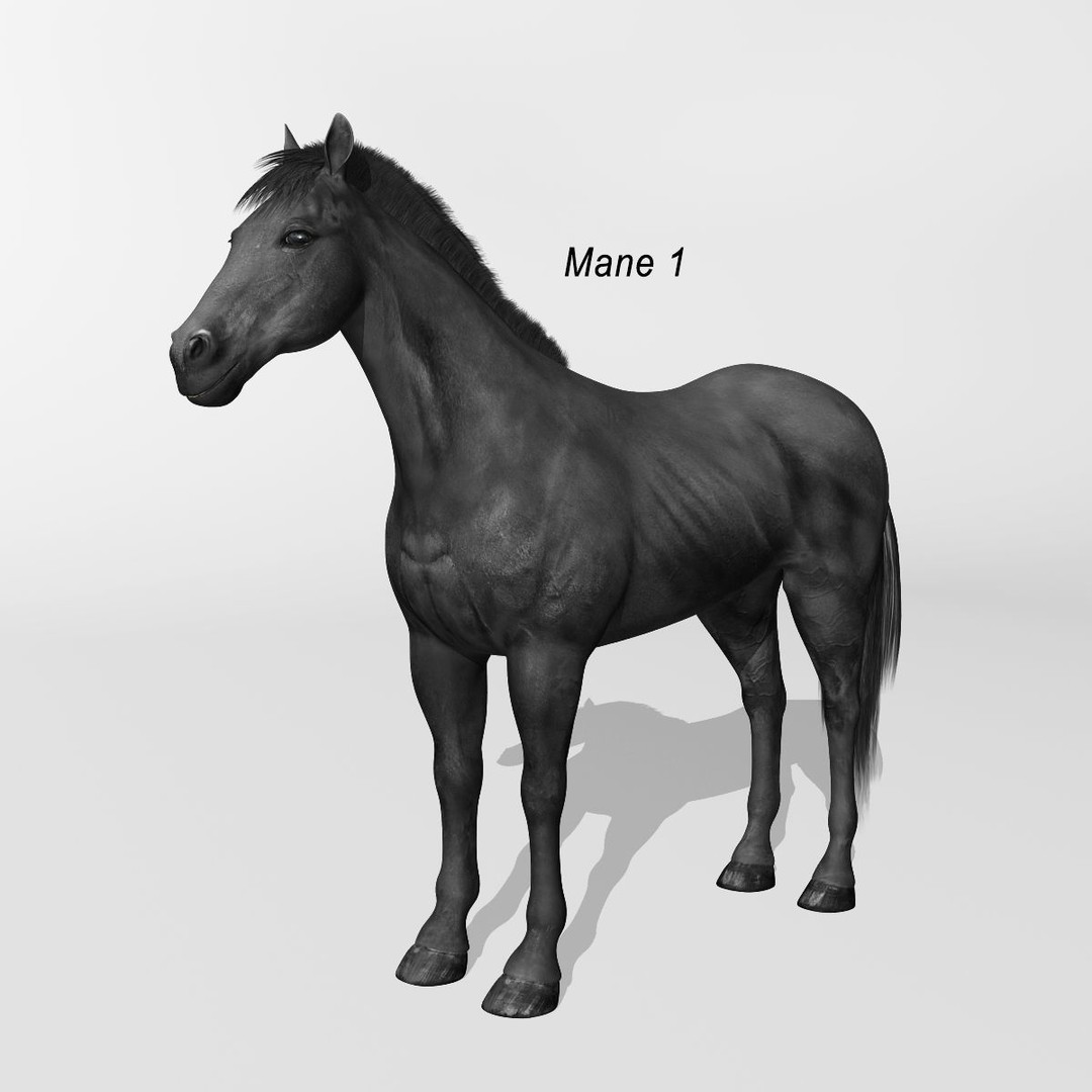 Realistic Horses 3D Model – Rigged Animated Bundle with PBR Textures - View 58