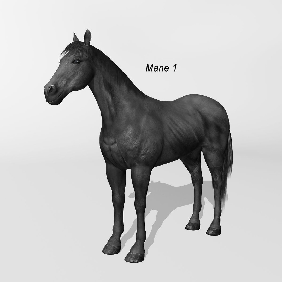 Realistic Horses 3D Model – Rigged Animated Bundle with PBR Textures - View 59