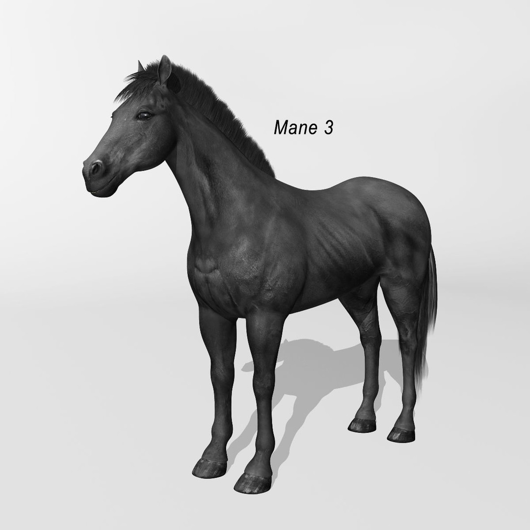 Realistic Horses 3D Model – Rigged Animated Bundle with PBR Textures - View 60