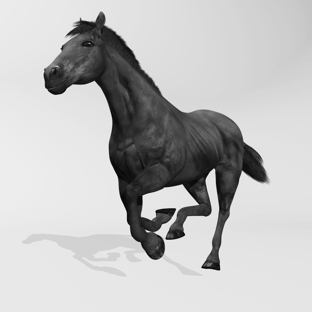 Realistic Horses 3D Model – Rigged Animated Bundle with PBR Textures - View 61