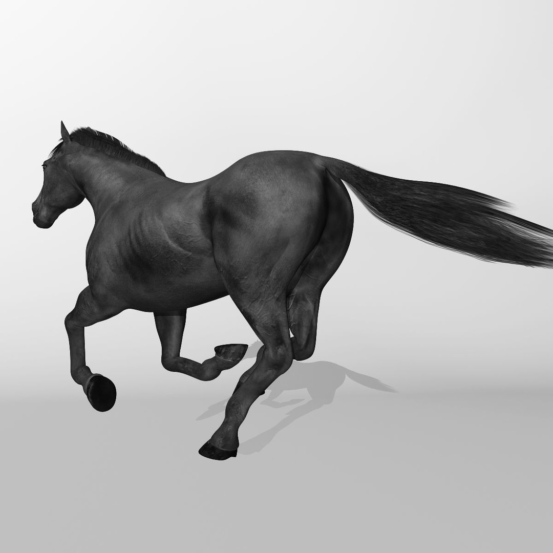 Realistic Horses 3D Model – Rigged Animated Bundle with PBR Textures - View 62